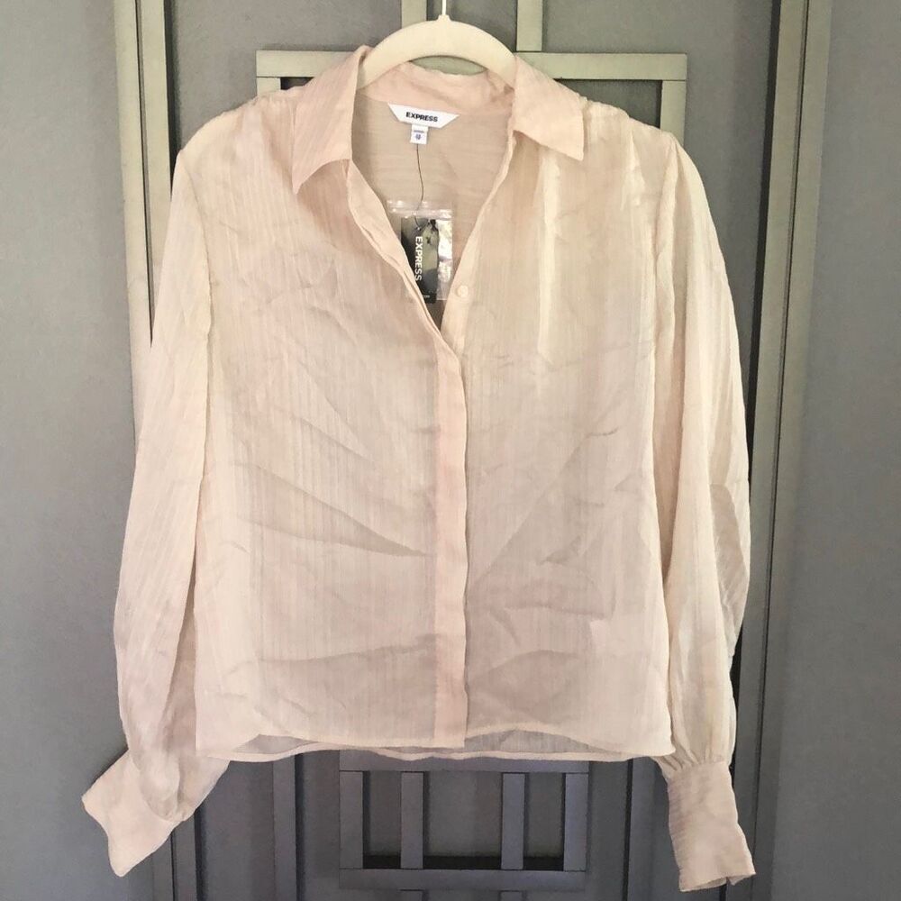 NWT Express Blush long sleeve, classic blouse, semi sheer XS